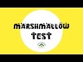 Marshmallow Test