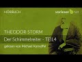 Theodor Storm: Der Schimmelreiter - TEIL 4 | HÖRBUCH | AUDIOBOOK