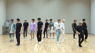 [SEVENTEEN - Ready To Love] dance practice mirrored