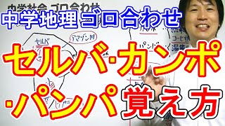 中学社会【ゴロ合わせ】地理「セルバ・カンポ・パンパの覚え方」