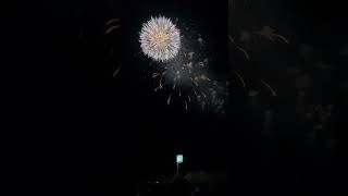 2023 大曲花火(秋田県) #shorts #fireworks #akita #花火