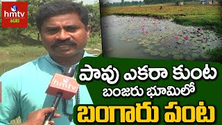 పావు ఎకరా కుంట బంజరు భూమిలో బంగారు పంట | hmtv Agri