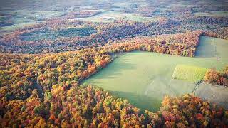 Fall Punxsutawney Pa