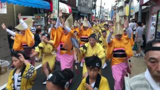 かせい阿波踊り2017 【かせい連1】