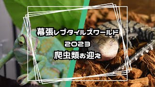 爬虫類イベントでお迎え！【幕張レプタイルズワールド2023】