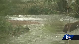 Car swept away along Camp Betty Washington Road