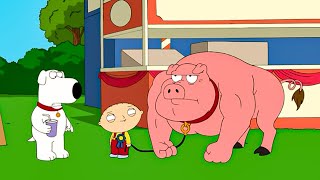 [NEW] Family Guy Season 8 Ep. 01 - Family Guy 2025 Full Episodes NoCuts NoZoom #1080p