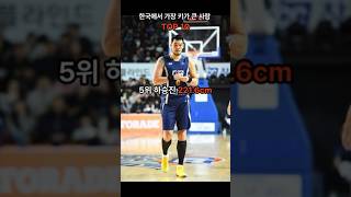 기본 2미터 한국에서 가장 키가 큰 사람 top 10