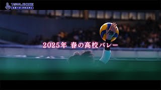 第77回全日本バレーボール高等学校選手権大会東京都代表決定戦