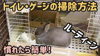 トイレとゲージの掃除方法【ルーティーン】