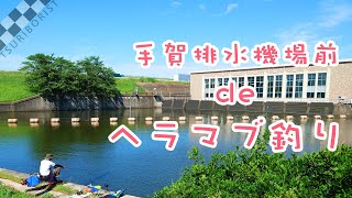 【ウキ釣りだいちゃん】手賀排水機場前（千葉県印西市）怪魚よりフナが見たい！