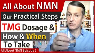 All About NMN Ep5 | TMG Dosage \u0026 How \u0026 When To Take | Our Practical Steps