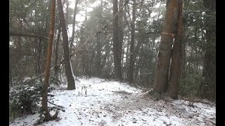 雪の折敷畑山と、のうが高原への道散策　（廿日市市　2022.12.18)