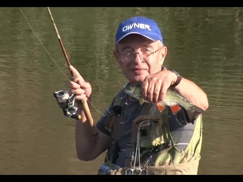 Городская рыбалка. Доброе утро. Фрагмент выпуска от Городская рыбалка. Доброе утро. Фрагмент выпуска от