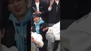 [세븐틴/원우\u0026도겸] 둘이 mbti 딱 하나 다름 j랑p...