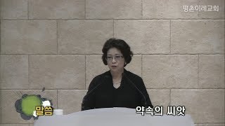 [평촌이레교회] 약속의 씨앗 (2019. 05. 19 / 주일 오후 예배) - 전정희 목사