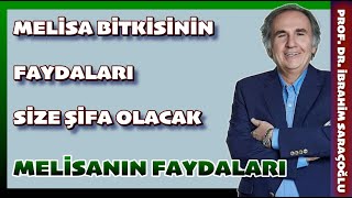 MELİSA ÇAYI TAM BİR ŞİFA DEPOSU FAYDALARI SİZİ ŞAŞIRTACAK. #melisa #limonmelisa #ibrahimsaraçoğlu #