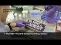 Respiratory research at Imperial College London