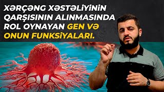 Xərçəng xəstəliyinin qarşısının alınmasında rol oynayan gen və onun funksiyaları