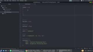 Basic Python Datatypes: int, str, float, bool