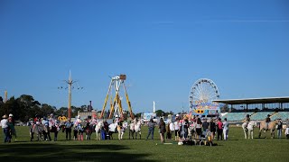 What's On at the Hawkesbury Show 2023