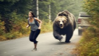 If You're Scared of Bears, Don't Watch This !