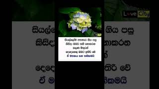 2025 පෙබරවාරි 22