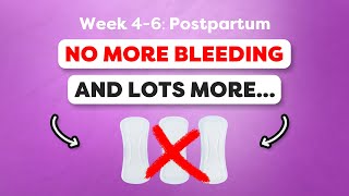 Week 4-6: What to Expect During Your Postpartum