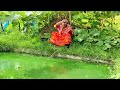 fishing video traditional hook fishing lady hunting fish by hook hira fishing