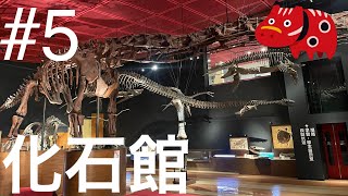 【#5】いわき市石炭・化石館【修論つらすぎて福島への現実逃避】