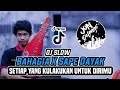 DJ SLOW BAHAGIA X SAPE DAYAK