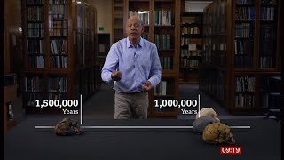 Million-year-old skull ‘rewrites human evolution’ (Global) 26/Sep/2025