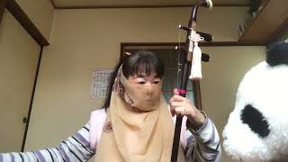 2022年11月18日(金)【二胡Erhu】「ガラスの林檎」松田聖子