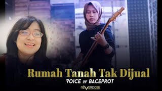 VOB (Voice Of Baceprot) - Rumah Tanah Tak Di Jual Reaction!