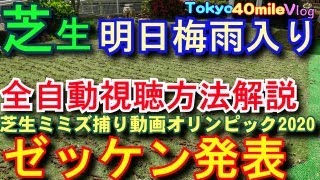 梅雨入り！近況報告。芝生ミミズ捕り動画オリンピック2020 視聴方法の説明とエントリーチャンネルゼッケン順公表