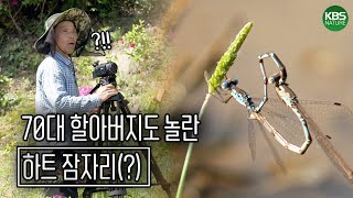 카메라와 사랑에 빠진 할아버지가 담아낸 자연의 사랑..♥ㅣKBS 220825 방송