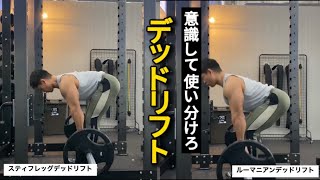 違いを意識して使い分けろ。ルーマニアンデッドリフトとスティフレッグデッドリフト