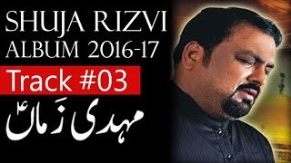 Shuja Rizvi (Nohay 2016-17) - Mehdi as Zamaan