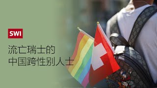 流亡瑞士的中国跨性别人士：中国性少数群体生存状况堪忧