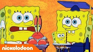 SpongeBob Kanciastoporty | Lekcja Sponge’a | Nickelodeon Polska