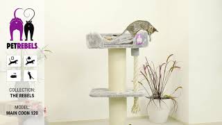 PETREBELS THE REBELS   MAINE COON 120cm (Cat Tree UK)