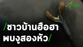 ฮือฮา!ชาวบ้านพบงูสองหัว เชื่อให้โชค! | 17-10-63 | ตะลอนข่าว