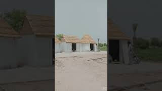 Rhoi cholistan