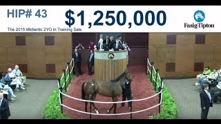 Fasig-Tipton Midlantic 2YO Sale: Hip 43 f. Smart Strike Sets Record