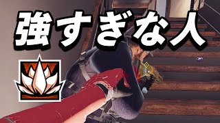 強化後のアルニが強すぎる件【R6S】