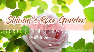 2021【1】Shiuan’s Rose Garden 2021/3/12~20 花園札記