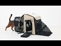 Pet Backpack Carriers        Pet supplies store link: petbn.com