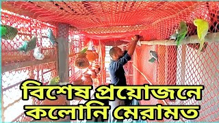 বাজরিগার পাখির কলোনি সঠিক নিয়মে তৈরী করা।@TithiAviary