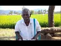 மாடு பால் அதிகரிக்க cow milk increase tips tamil