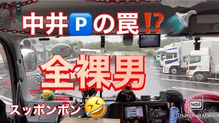 【大型トラック運転手】全裸男⁉️【本舗ファミリー】ひるぼらけ